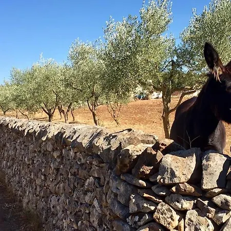 Trullo Rosy * Martina Franca