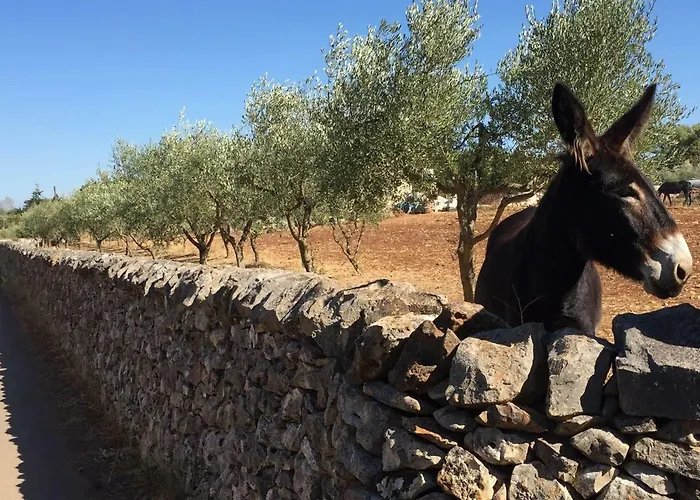 Trullo Rosy * Martina Franca